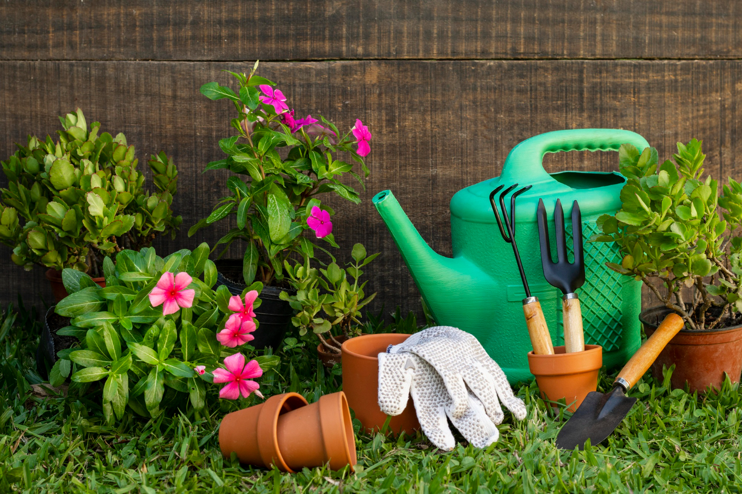 plants-pot-with-watering-can